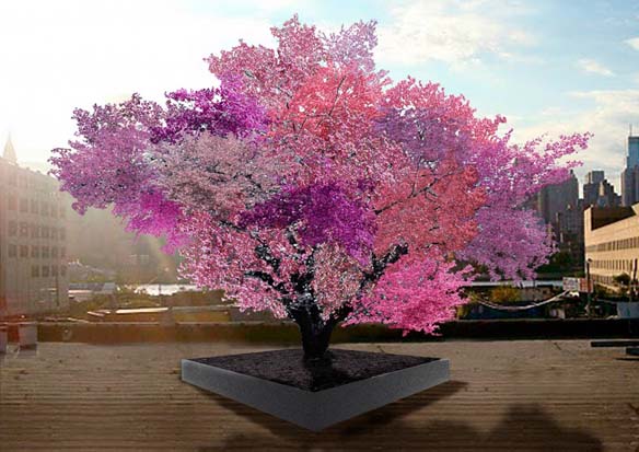 sam-van-aken-tree-of-40-fruit