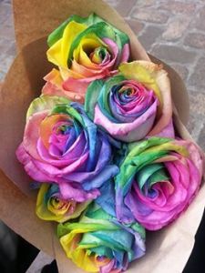 10505325_10204279798819475_608183172711541859_n