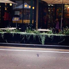 11128159_943792935654552_1581241519_n