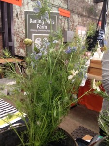 11208787_957711427596036_2125207894_n