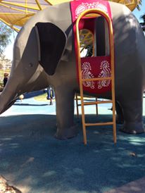 11225819_962647317102447_939006080_n