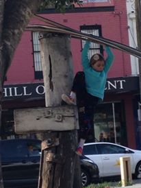 11267644_963128773720968_1007435719_n