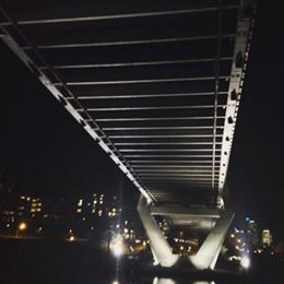 11655599_985952778105234_375540521_n