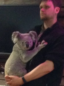 11951082_1020275021339676_257131506_n