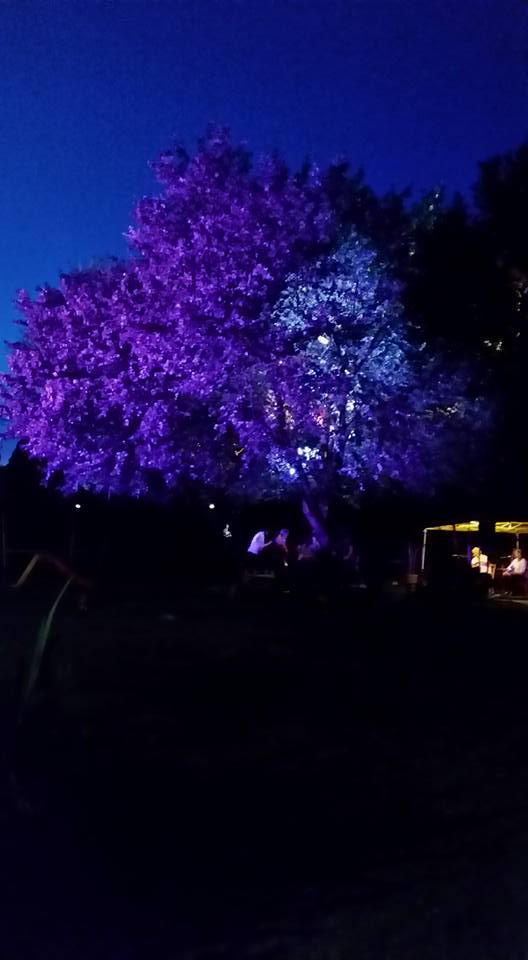 12096075_10153240137163990_8619453239373150594_n