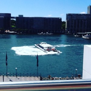 11219579_1056298817737296_9066824757013761341_n