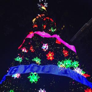 12274184_1059766010723910_5876282434373907995_n