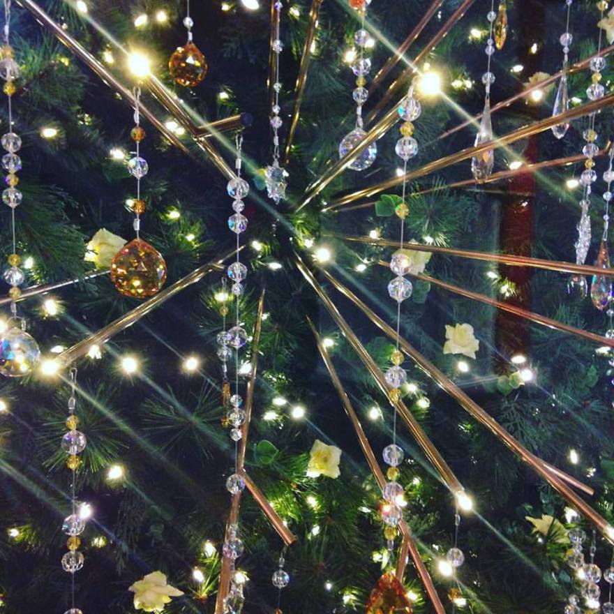 12289651_1058672524166592_6198241402834796503_n