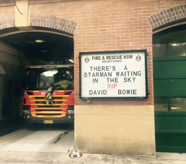 12507352_828913097221156_2454820391424871467_n