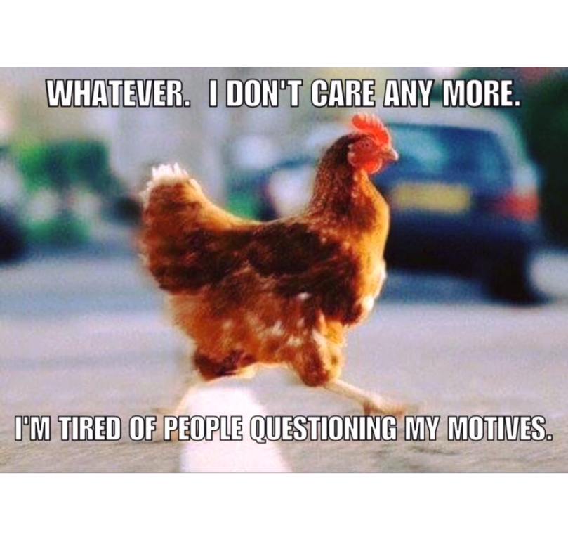 13599797_911708792288487_2688553416528517412_n